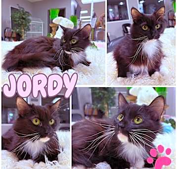 Photo of Jordy