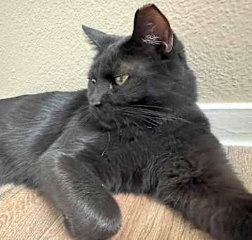 Photo of George