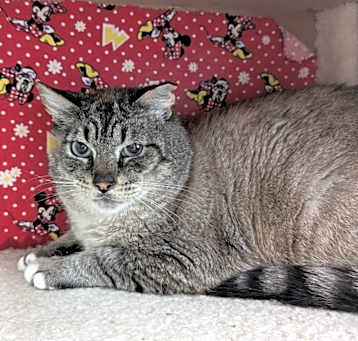Photo of Big Papa