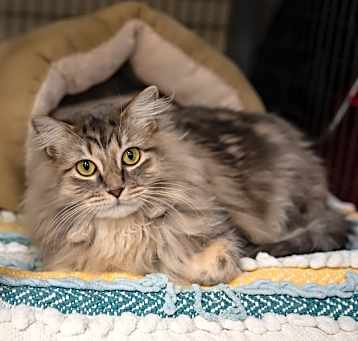 Photo of Ya'Gurl Sally