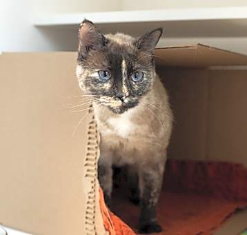 Photo of Yoli