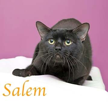 Photo of Salem