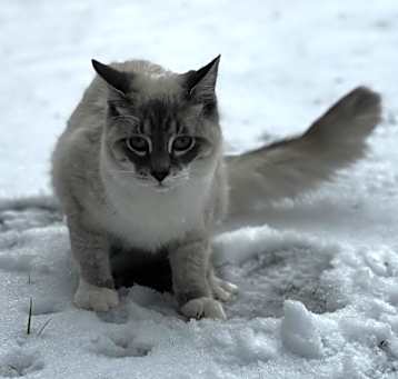Photo of Luka