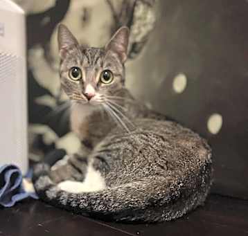 Photo of Betty