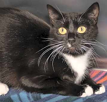 Photo of Dorothy