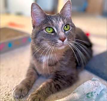 Photo of Eve