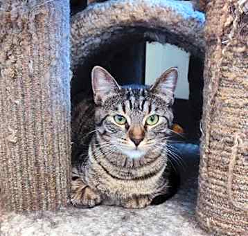 Photo of Ivy