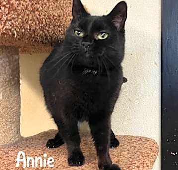 Photo of Annie