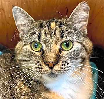 Photo of Faith (25-053)