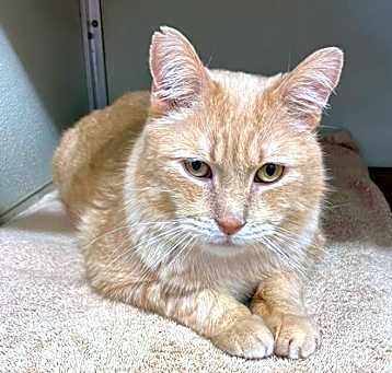 Photo of Tempest