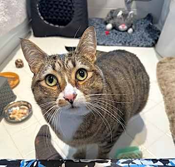 Photo of Rocket