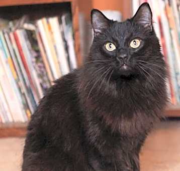 Photo of Seeley