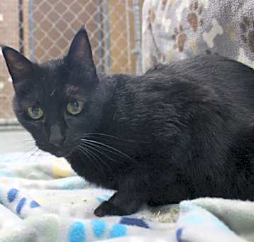 Photo of Spunky