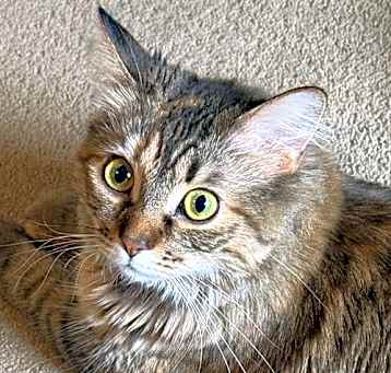 Photo of Eloise