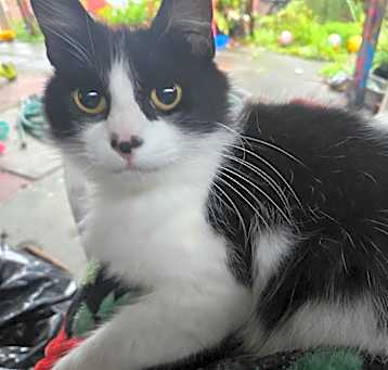 Photo of Princess Mithian