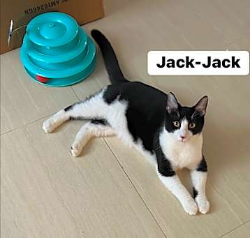 Photo of Jack jack