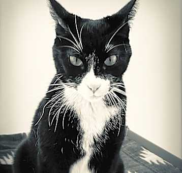 Photo of Mags