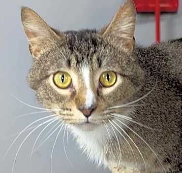 Photo of Ripley
