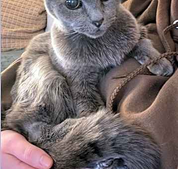 Photo of Misty