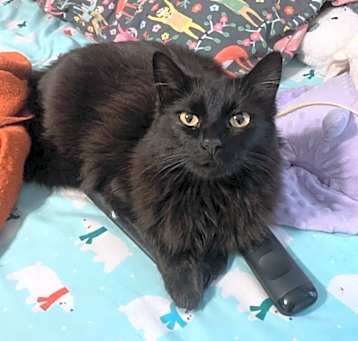 Photo of Kiki