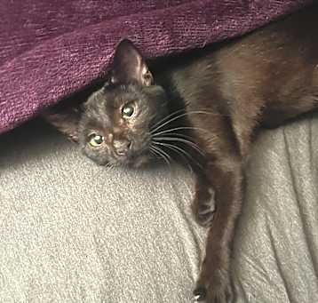 Photo of Margo
