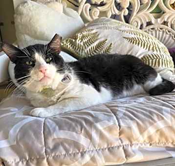 Photo of Monty 2