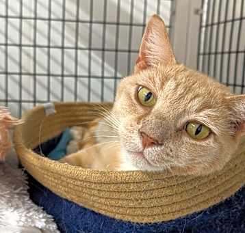 Photo of Miquito