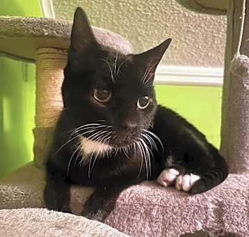 Photo of Ripley