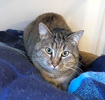 Photo of Poppy