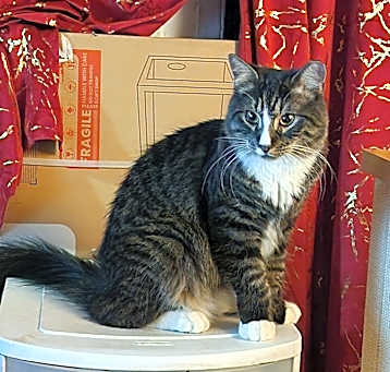 Photo of Sora