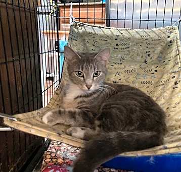 Photo of Charlotte