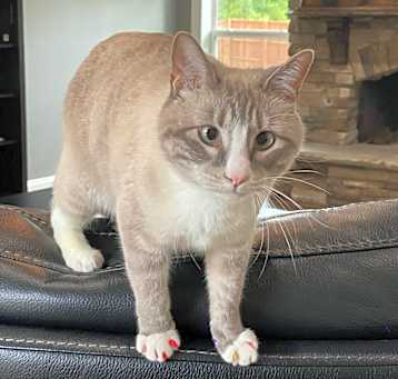 Photo of Lucky Bucky