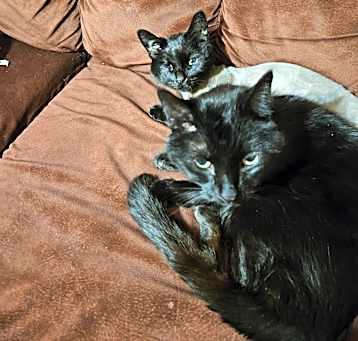 Photo of Mia and Boi
