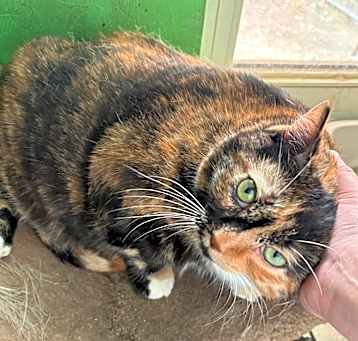 Photo of Maggie