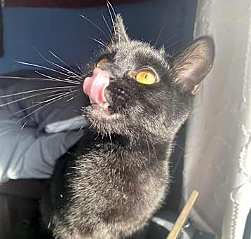 Photo of Lucifer