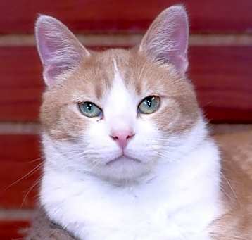 Photo of TIMMY