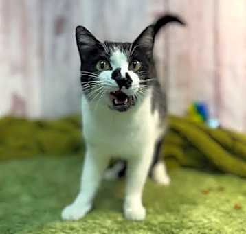 Photo of Charolette