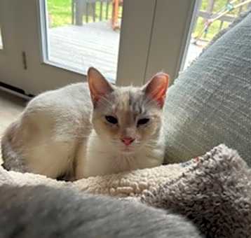 Photo of Padme