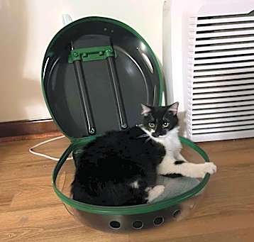 Photo of Milo