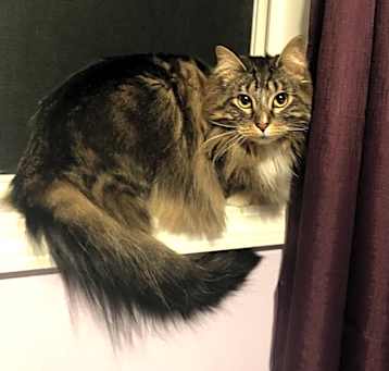 Photo of Lily