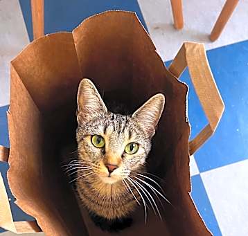 Photo of Mella
