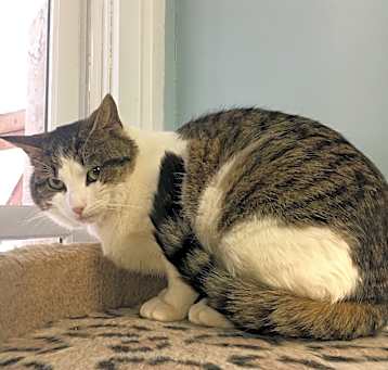 Photo of Buddy