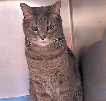Photo of Ollie