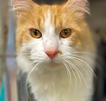 Photo of Morty