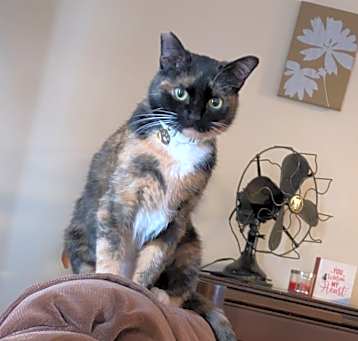 Photo of Mugzy