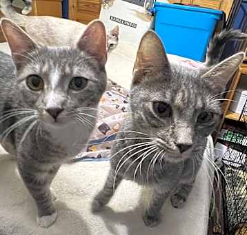 Photo of Otis & Olivia
