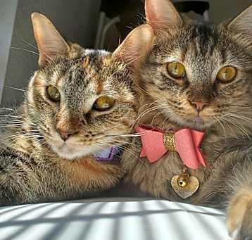 Photo of Tera & Nora