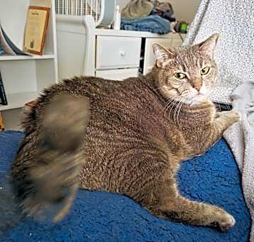 Photo of Moe