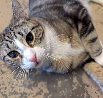 Photo of Artemis