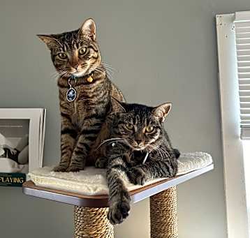 Photo of Hex